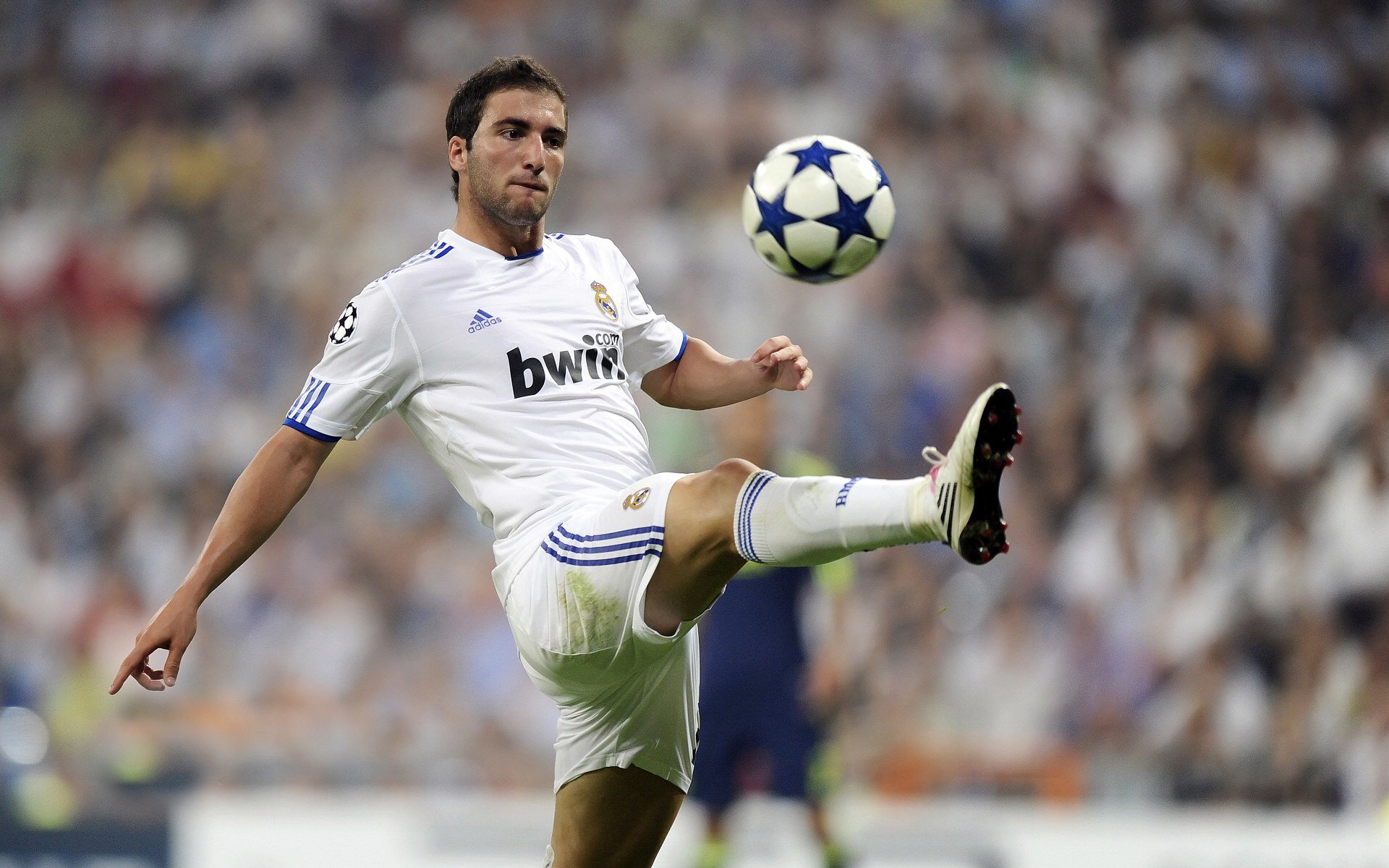 德甲最佳战术崭露头角，精彩反击频频奏响，德甲最佳十一人